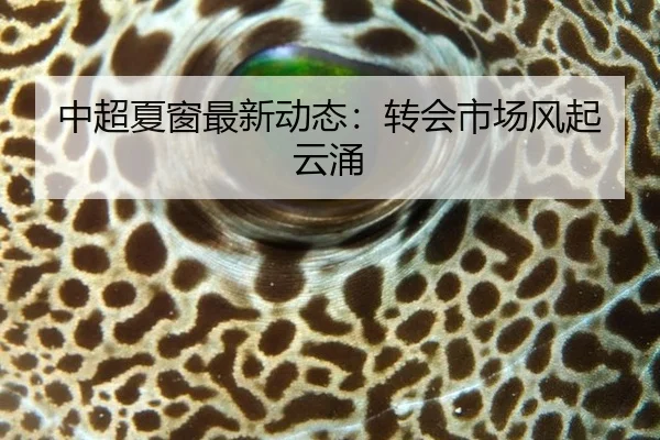 中超夏窗最新动态：转会市场风起云涌